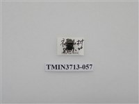 藏品(金龜子科)的圖片